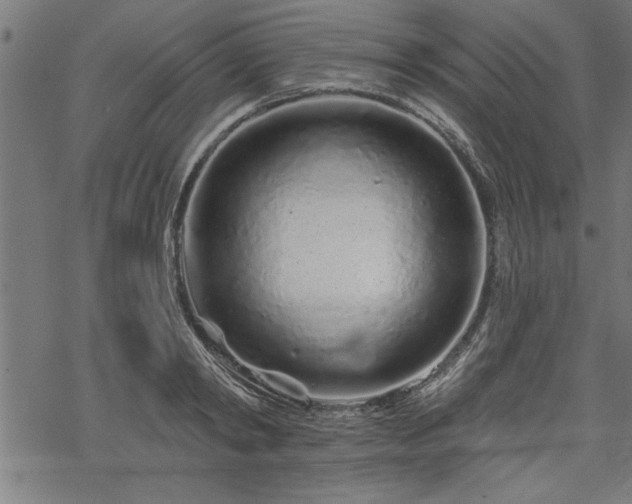 X0000069790798200605221113