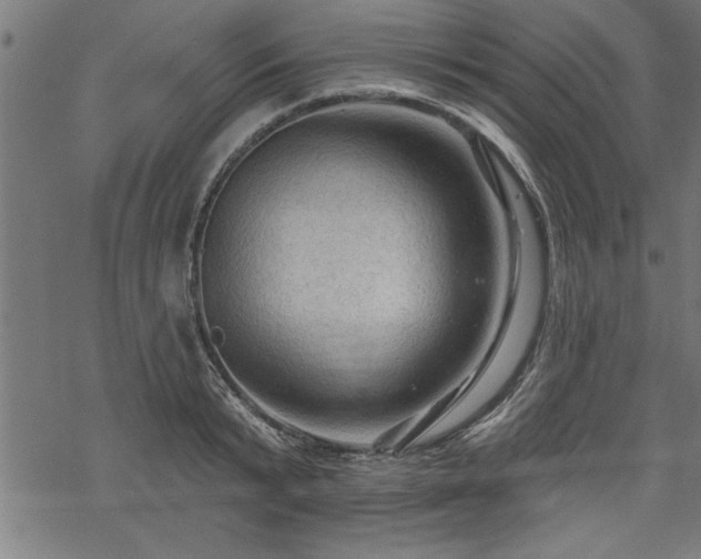 X0000069790799200605221113