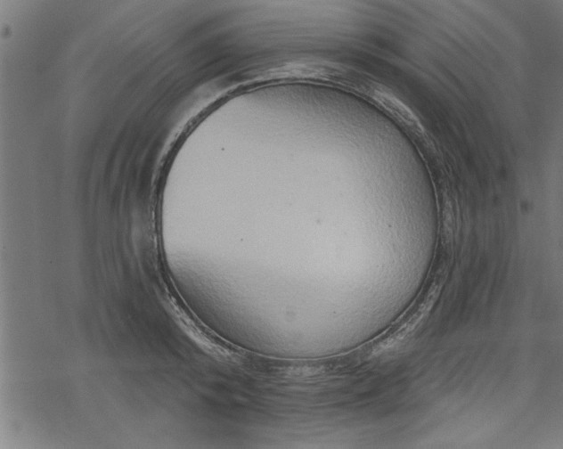 X0000069790800200605221113