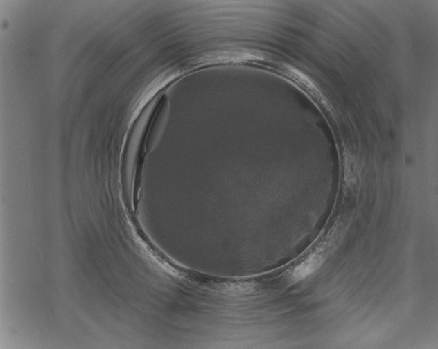 X0000069790802200605221113