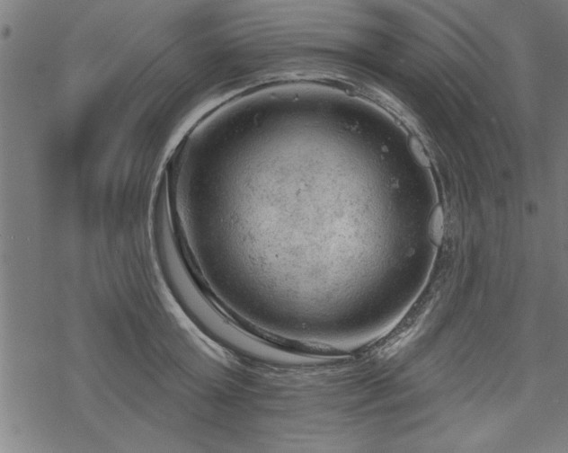 X0000069790803200605221113