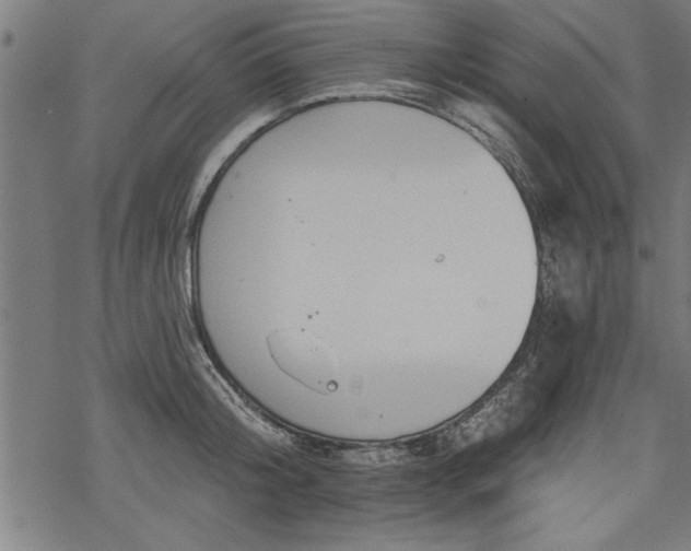 X0000069790804200605221113