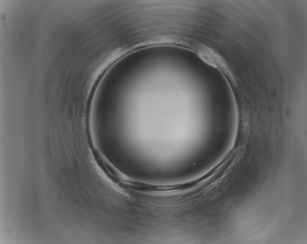 X0000069790805200605221113