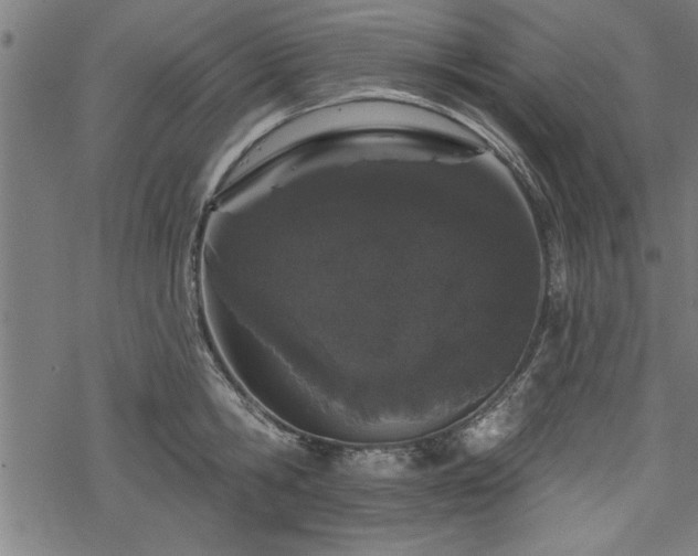 X0000069790806200605221113