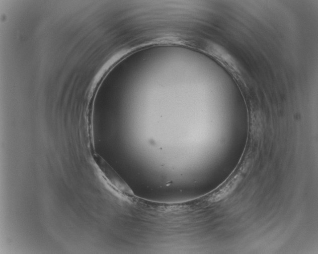 X0000069790808200605221113