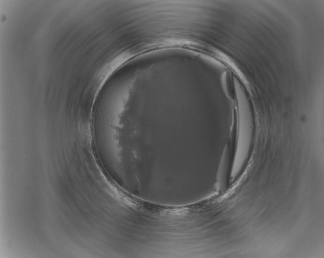 X0000069790810200605221113