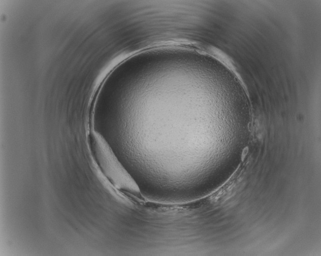 X0000069790811200605221113