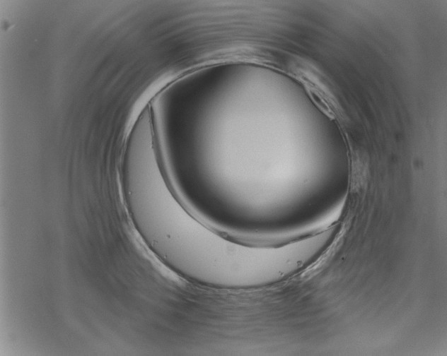 X0000069790812200605221113