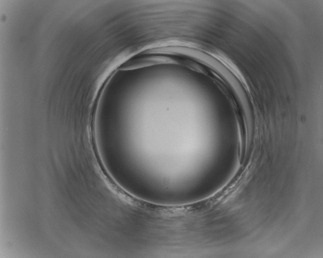 X0000069790813200605221113