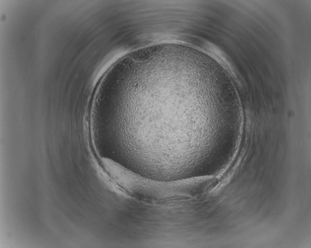 X0000069790814200605221113