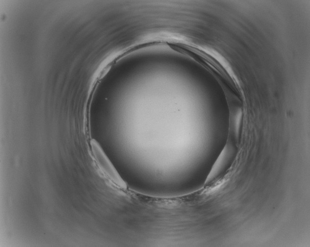 X0000069790815200605221113