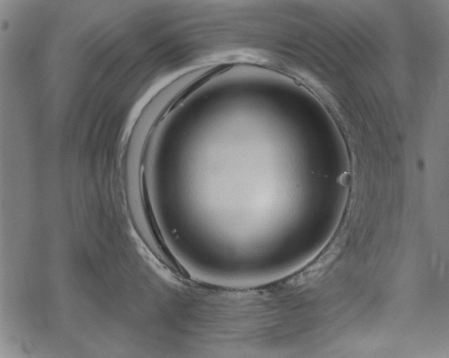 X0000069790816200605221113