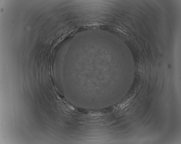 X0000069790818200605221112