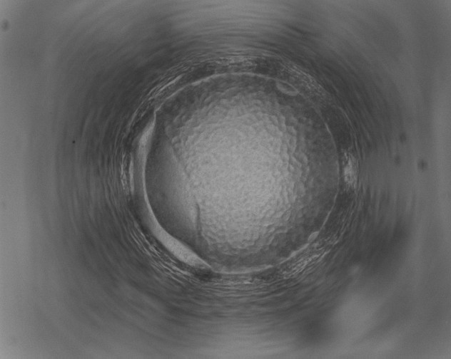 X0000069790819200605221112