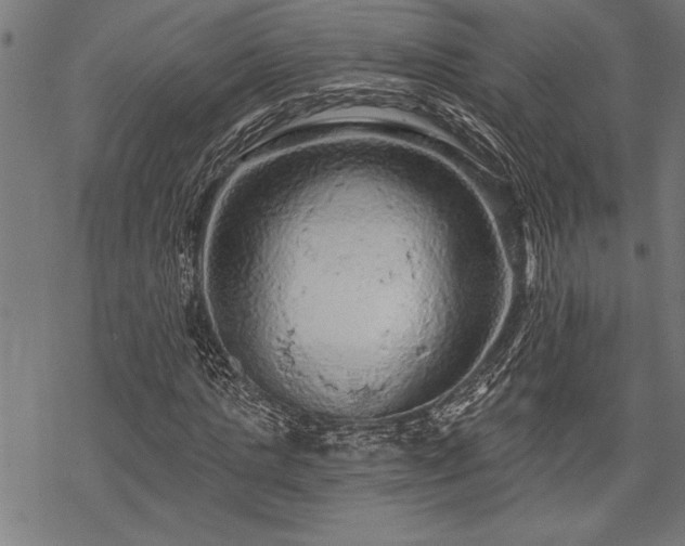 X0000069790821200605221112