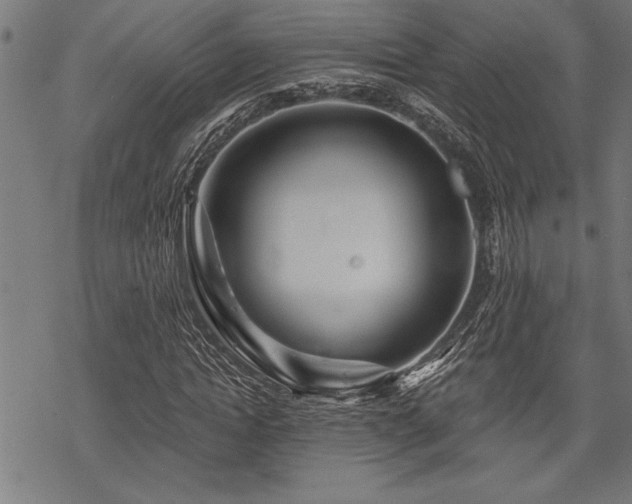 X0000069790822200605221112