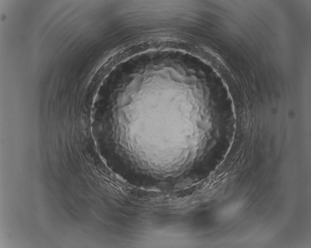 X0000069790823200605221112