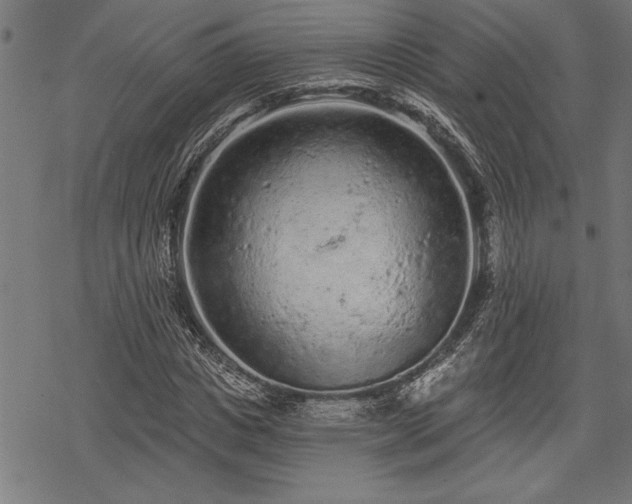 X0000069790825200605221112