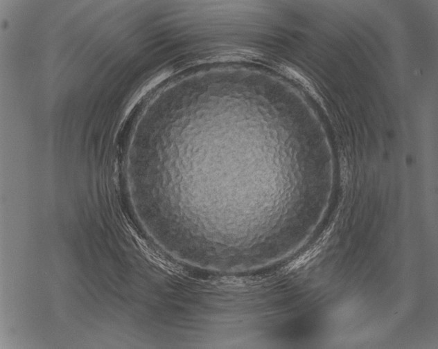 X0000069790827200605221112