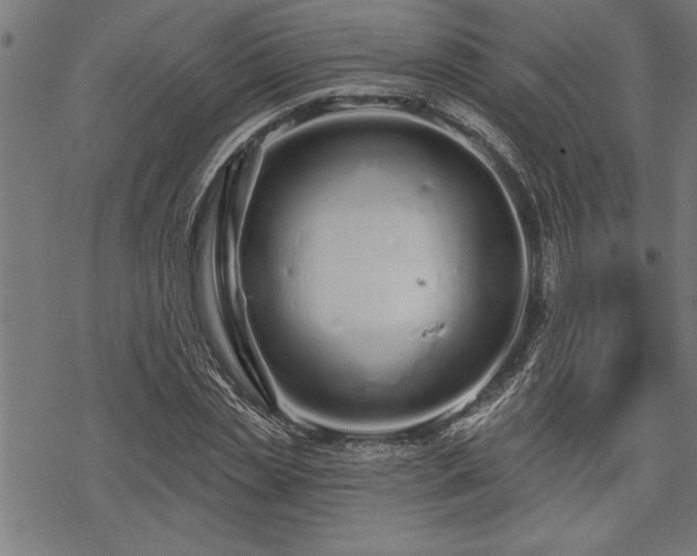 X0000069790829200605221112