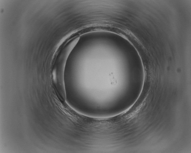 X0000069790830200605221112