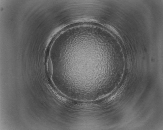 X0000069790831200605221112