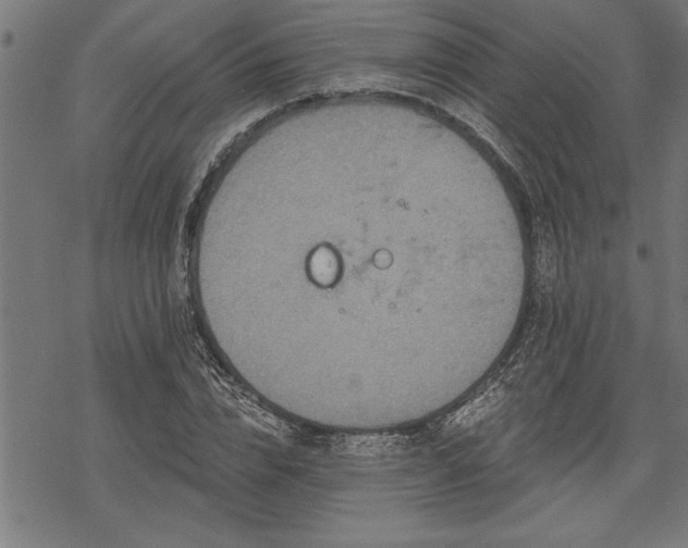 X0000069790832200605221112