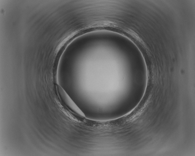 X0000069790834200605221112