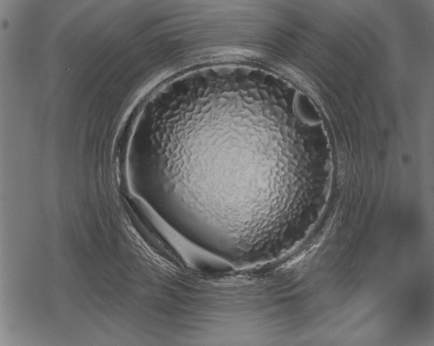 X0000069790835200605221112