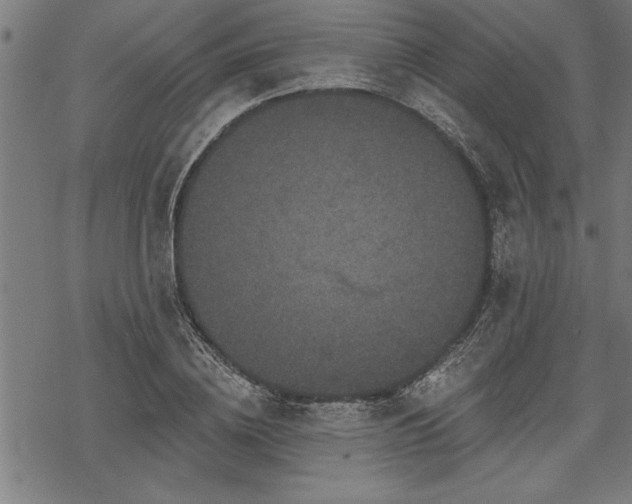 X0000069790836200605221112