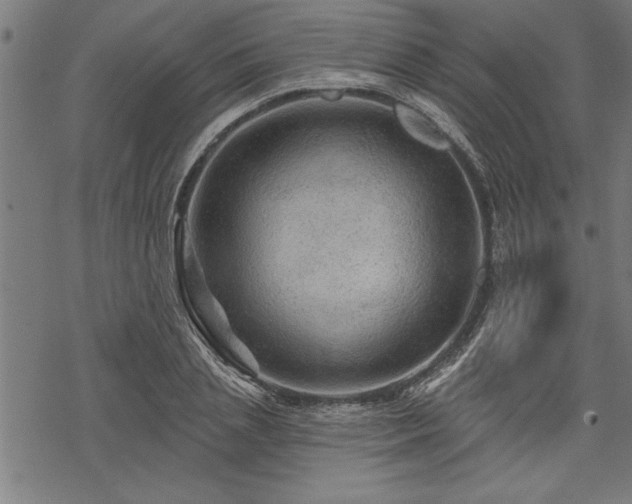 X0000069790837200605221112