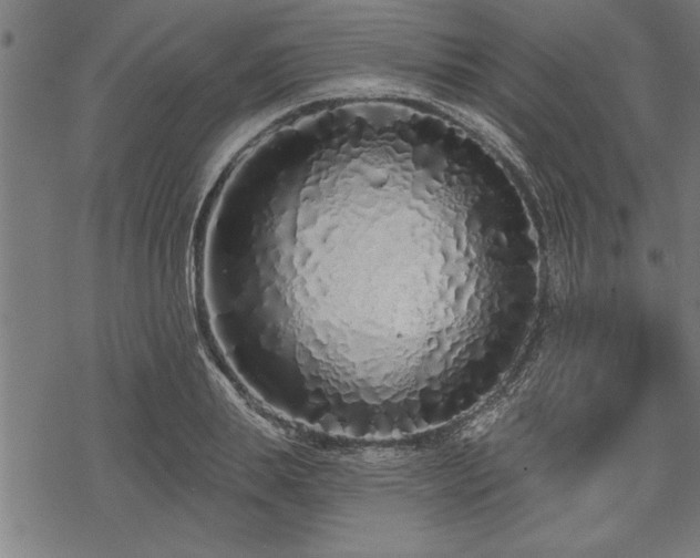 X0000069790839200605221112