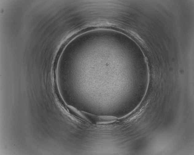 X0000069790840200605221112