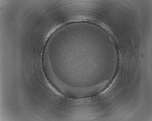 X0000069790842200605221112