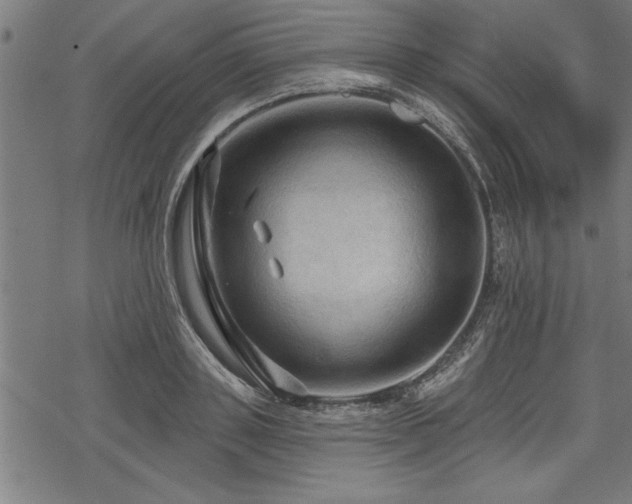 X0000069790843200605221112