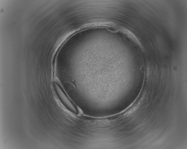 X0000069790844200605221112