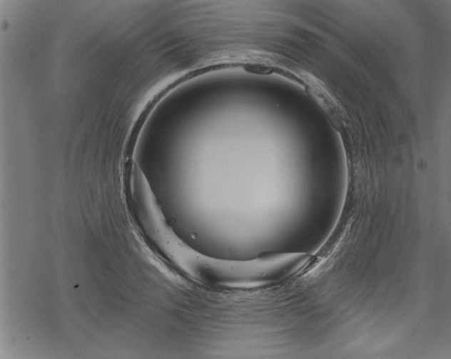 X0000069790846200605221112