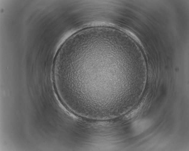 X0000069790847200605221112