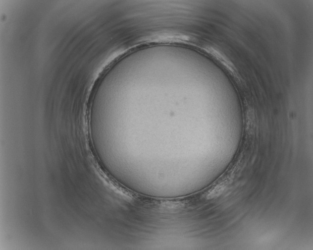 X0000069790848200605221113