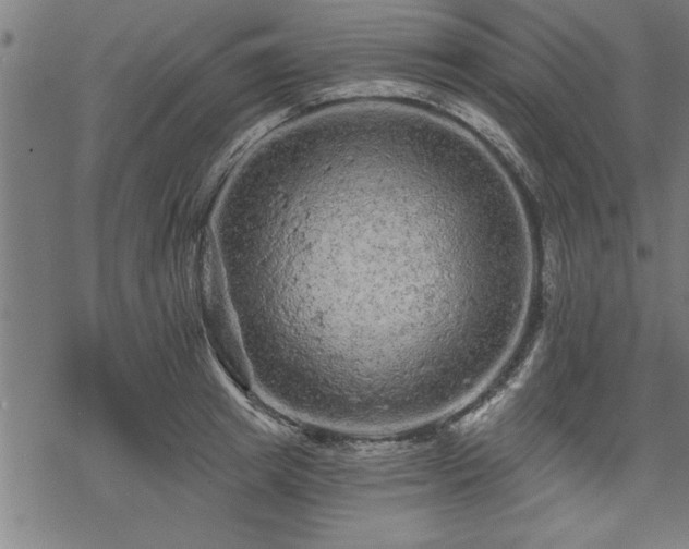 X0000069790849200605221113