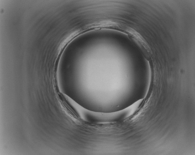 X0000069790850200605221113