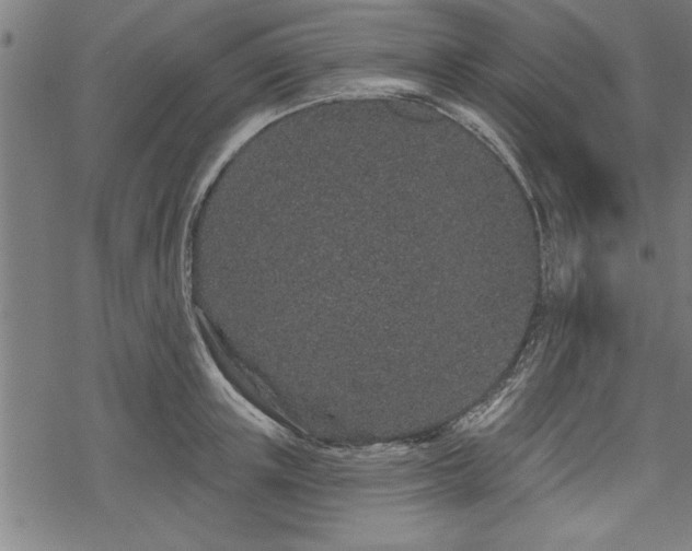 X0000069790851200605221113