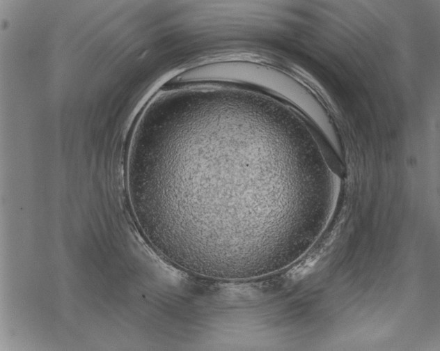 X0000069790852200605221113