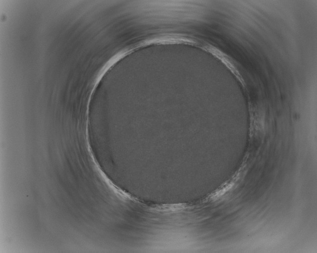 X0000069790853200605221113