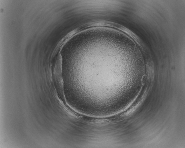 X0000069790857200605221113