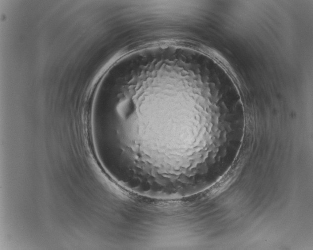 X0000069790859200605221113