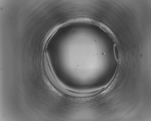 X0000069790860200605221113