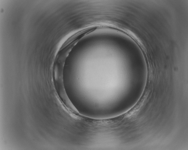 X0000069790862200605221113