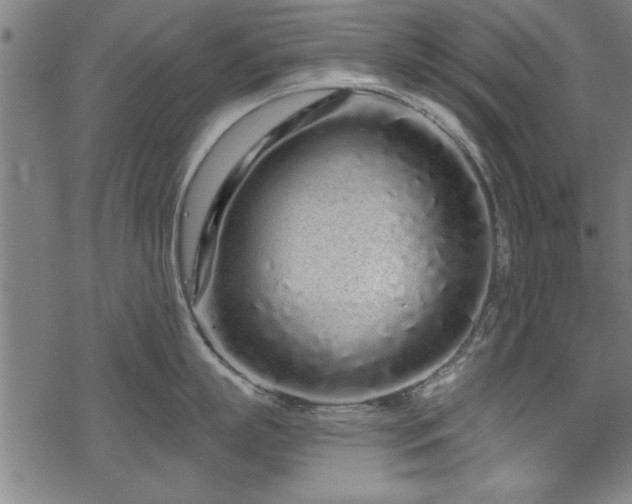 X0000069790863200605221113