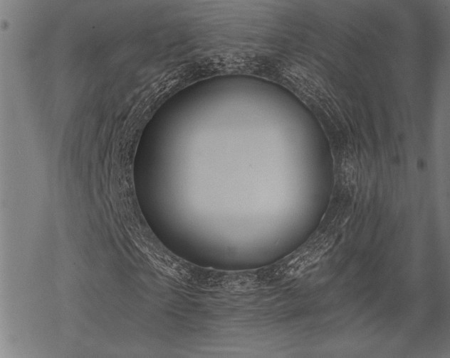 X0000069790865200605221112